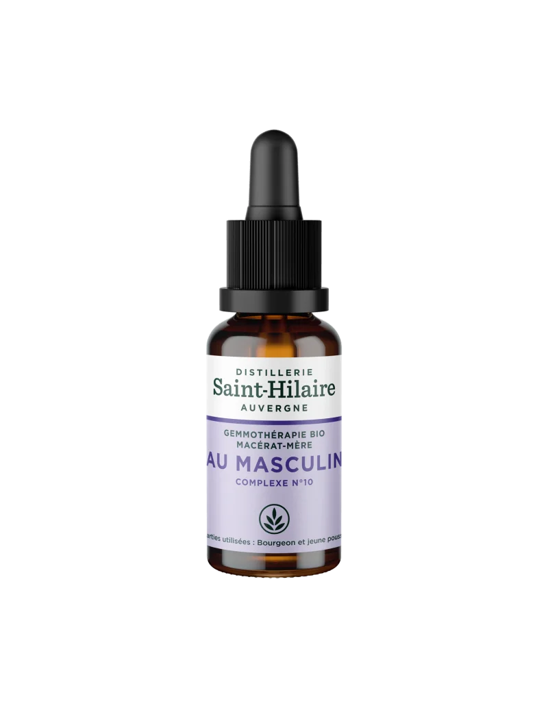 AU MASCULIN – Image 2