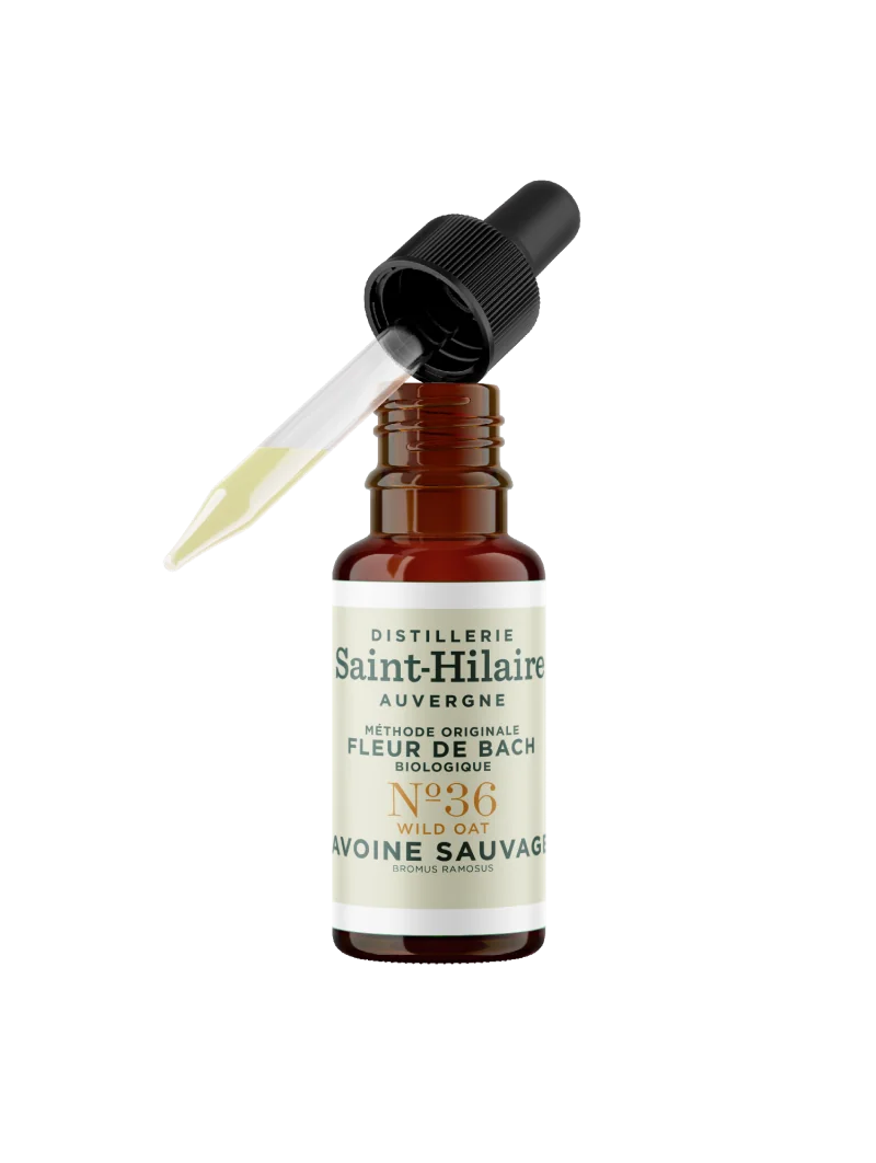 AVOINE SAUVAGE N°36 BIO – Image 4