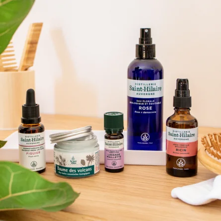 BAUME DES VOLCANS – Image 2