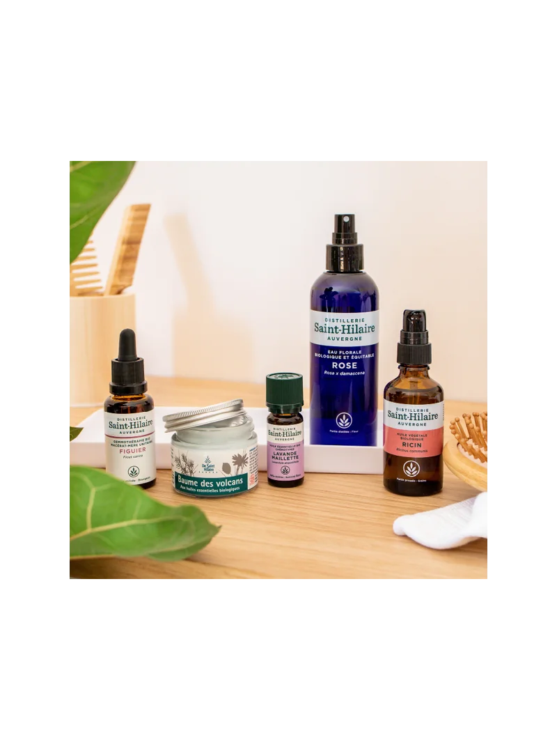 BAUME DES VOLCANS – Image 4