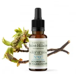 BOURGEON DE MARRONNIER N°7 BIO