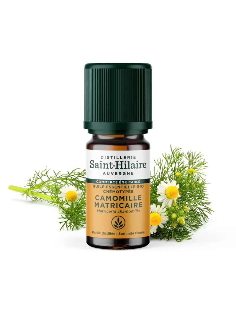 CAMOMILLE MATRICAIRE – Image 5