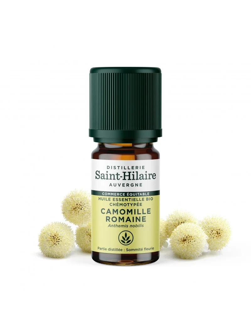 CAMOMILLE ROMAINE – Image 4