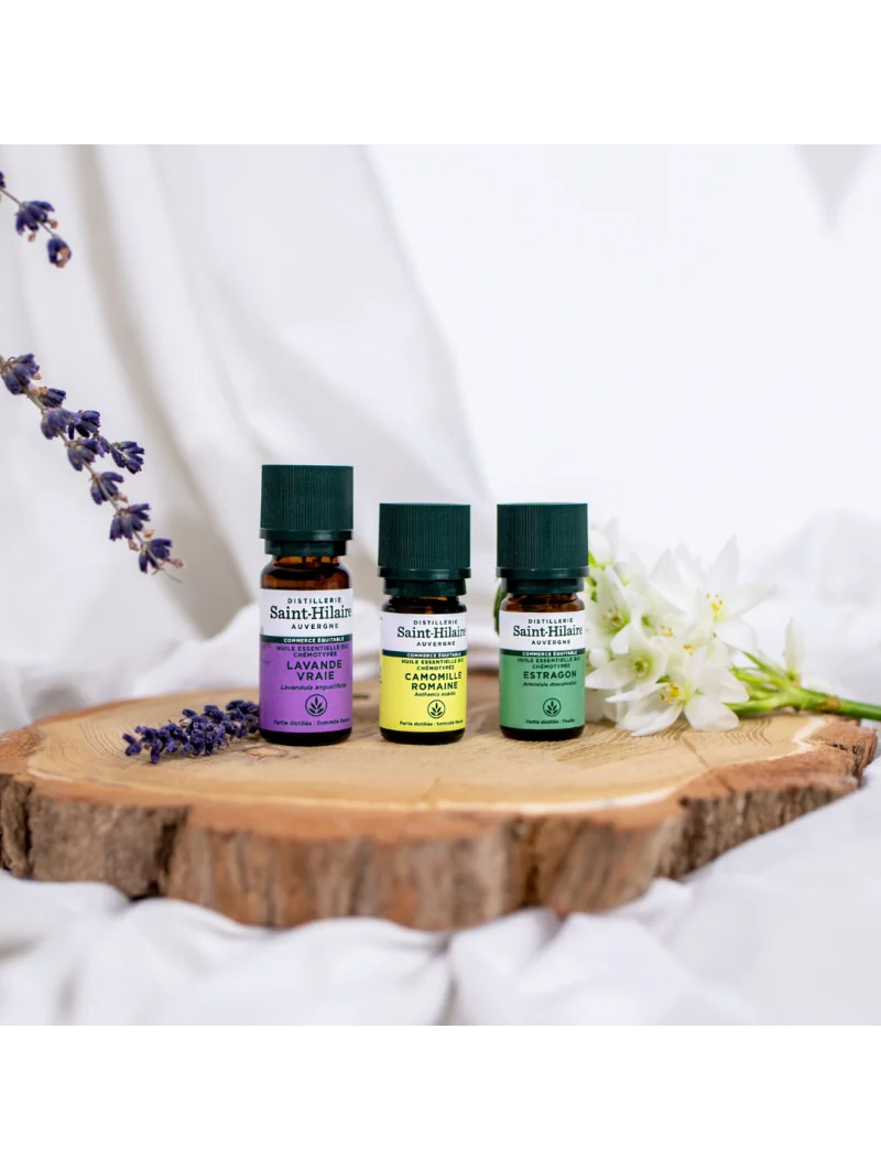 CAMOMILLE ROMAINE – Image 5