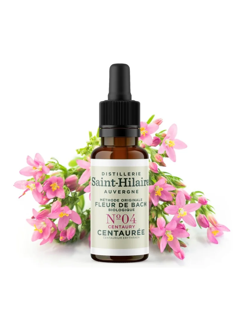 CENTAUREE N°4 BIO – Image 3