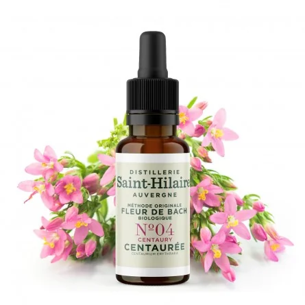CENTAUREE N°4 BIO