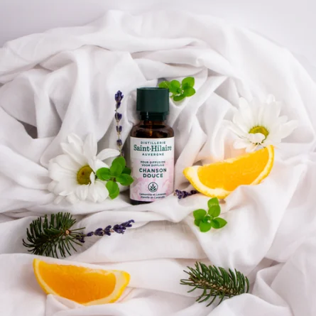 CHANSON DOUCE – Image 3