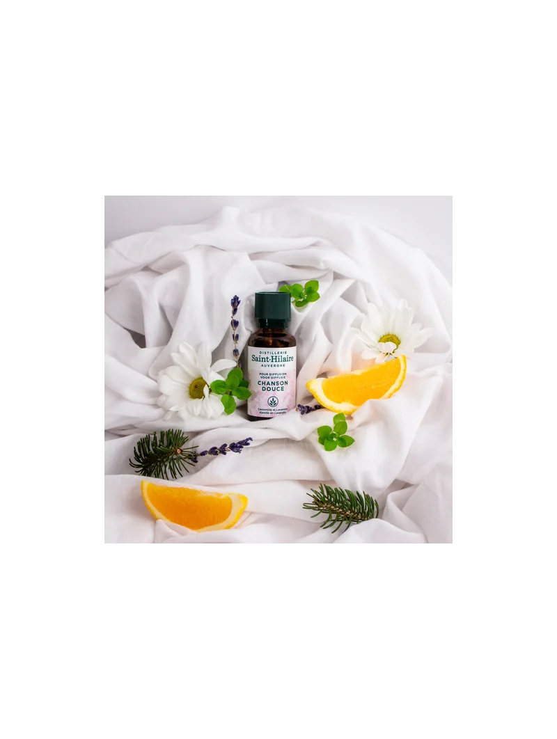 CHANSON DOUCE – Image 7