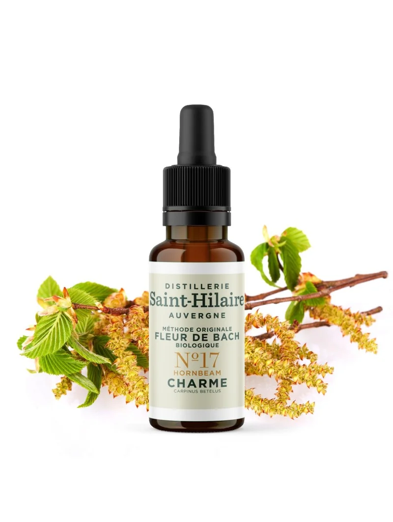 CHARME N°17 BIO – Image 3