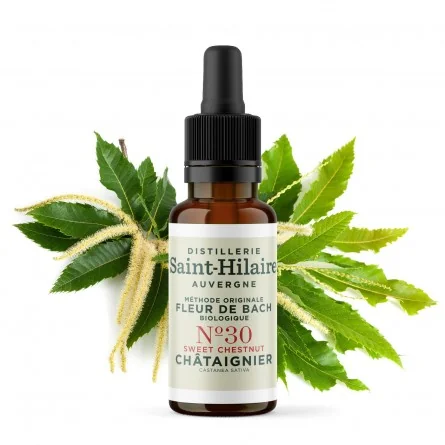 CHATAIGNIER N°30 BIO