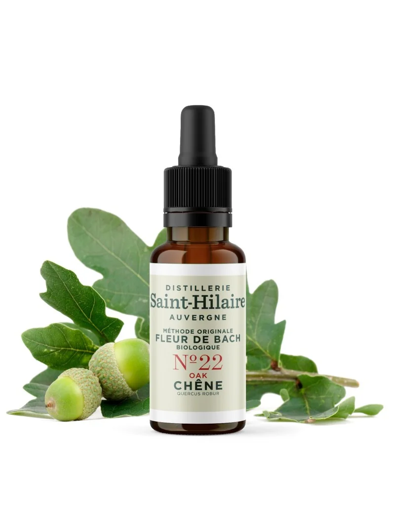 CHENE N°22 BIO – Image 3