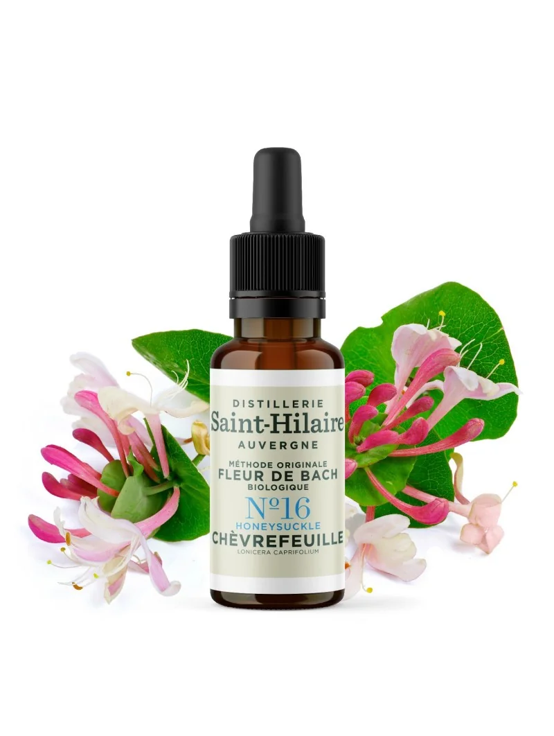 CHEVREFEUILLE N°16 BIO – Image 3