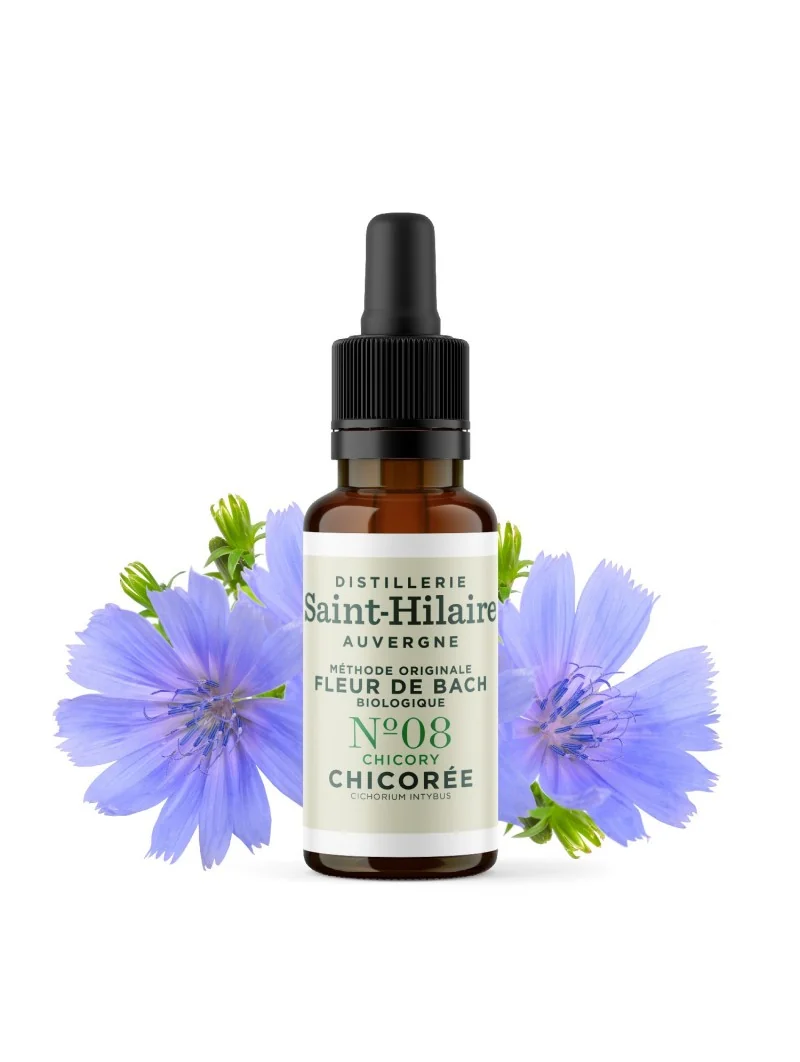 CHICOREE N°8 BIO – Image 3