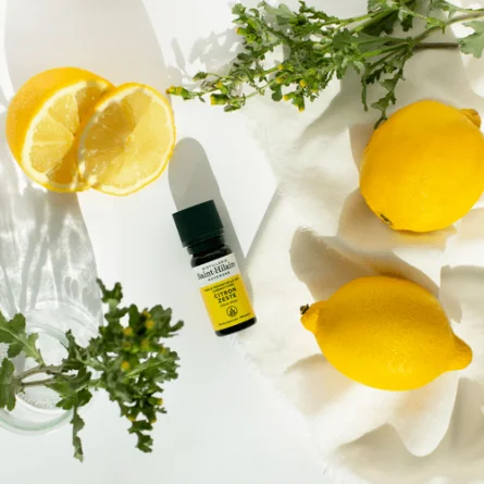 CITRON ZESTE – Image 3