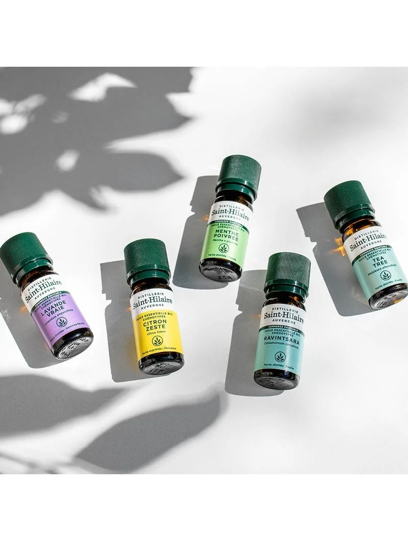 CITRON ZESTE – Image 10