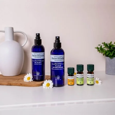 CITRONNELLE DE CEYLAN – Image 2