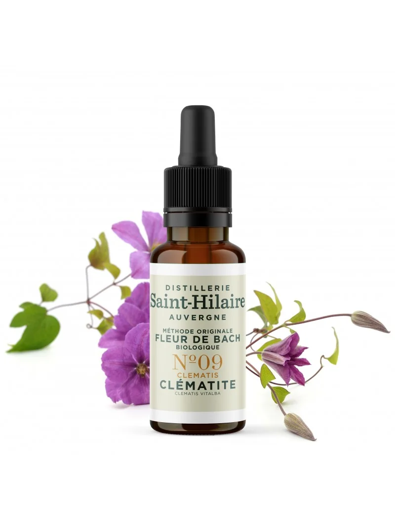 CLEMATITE N°9 BIO – Image 3