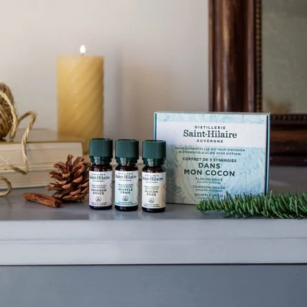 COFFRET DIFFUSION DANS MON... – Image 3