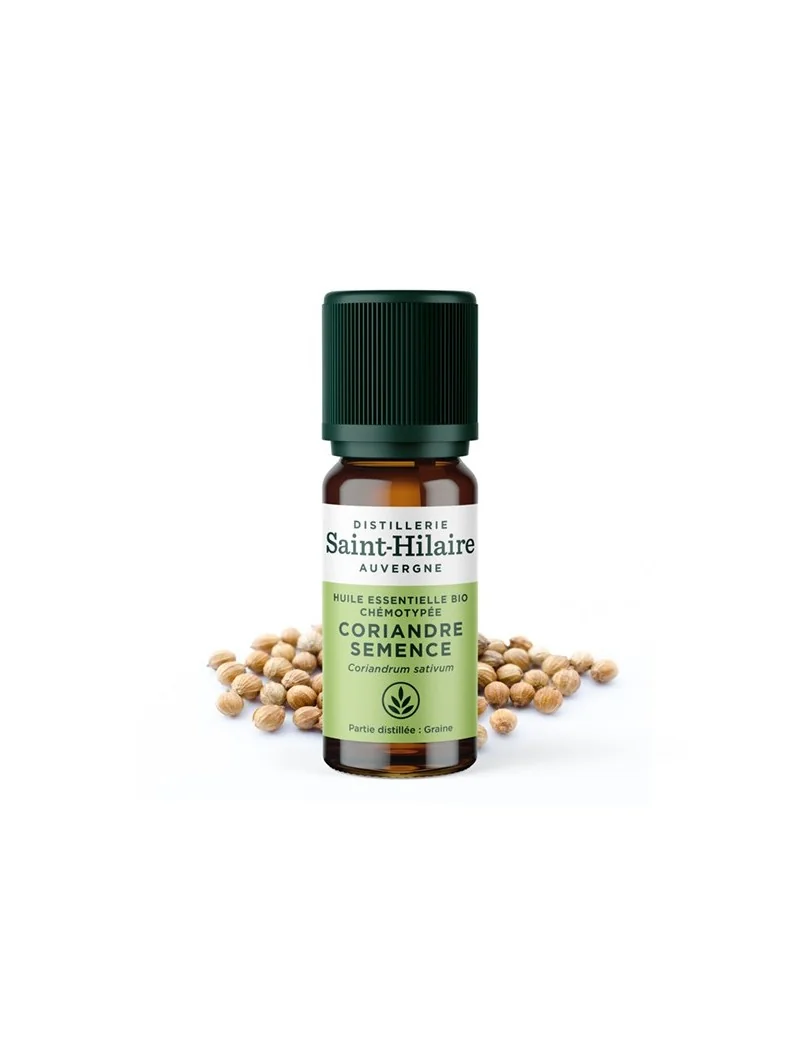 CORIANDRE SEMENCE – Image 2