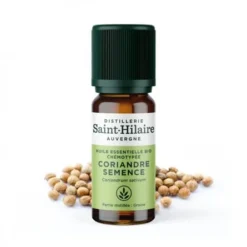 CORIANDRE SEMENCE
