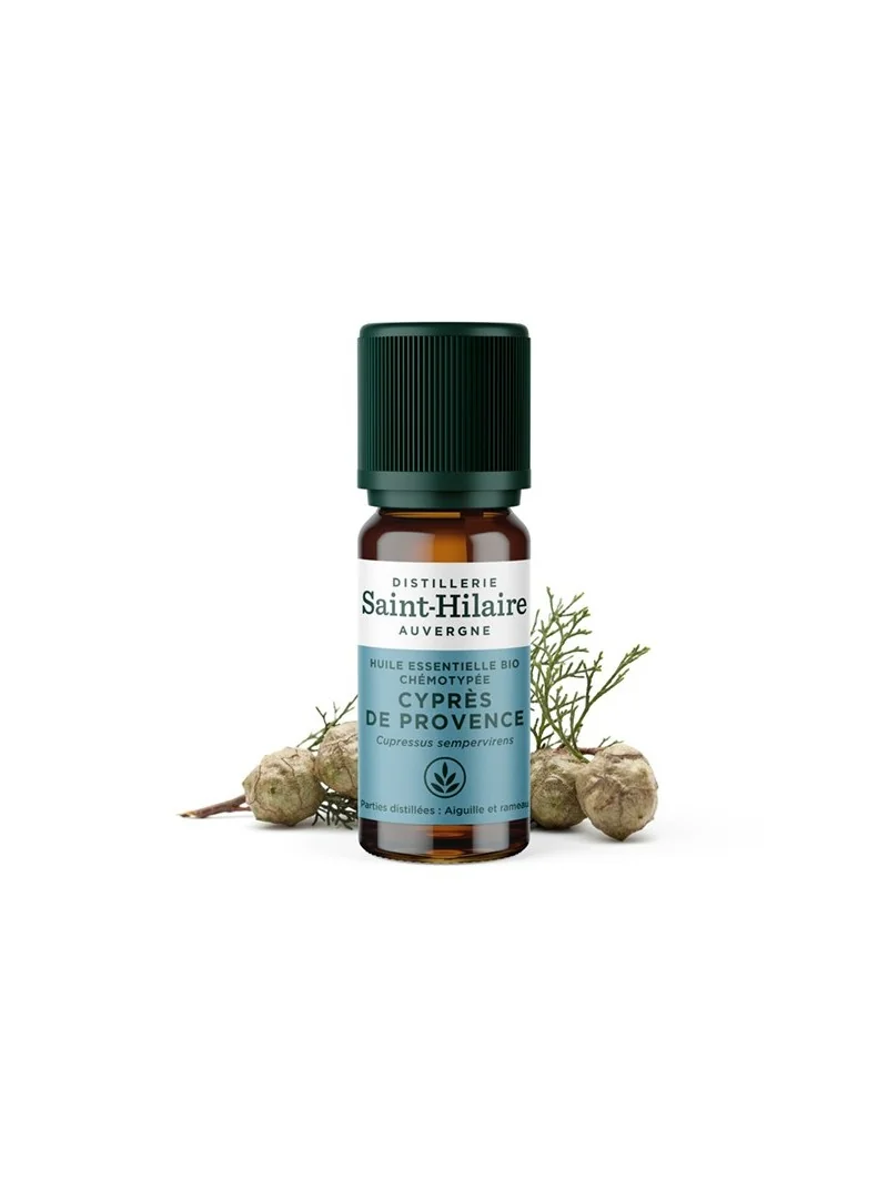 CYPRÈS DE PROVENCE – Image 2
