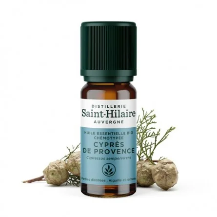 CYPRÈS DE PROVENCE