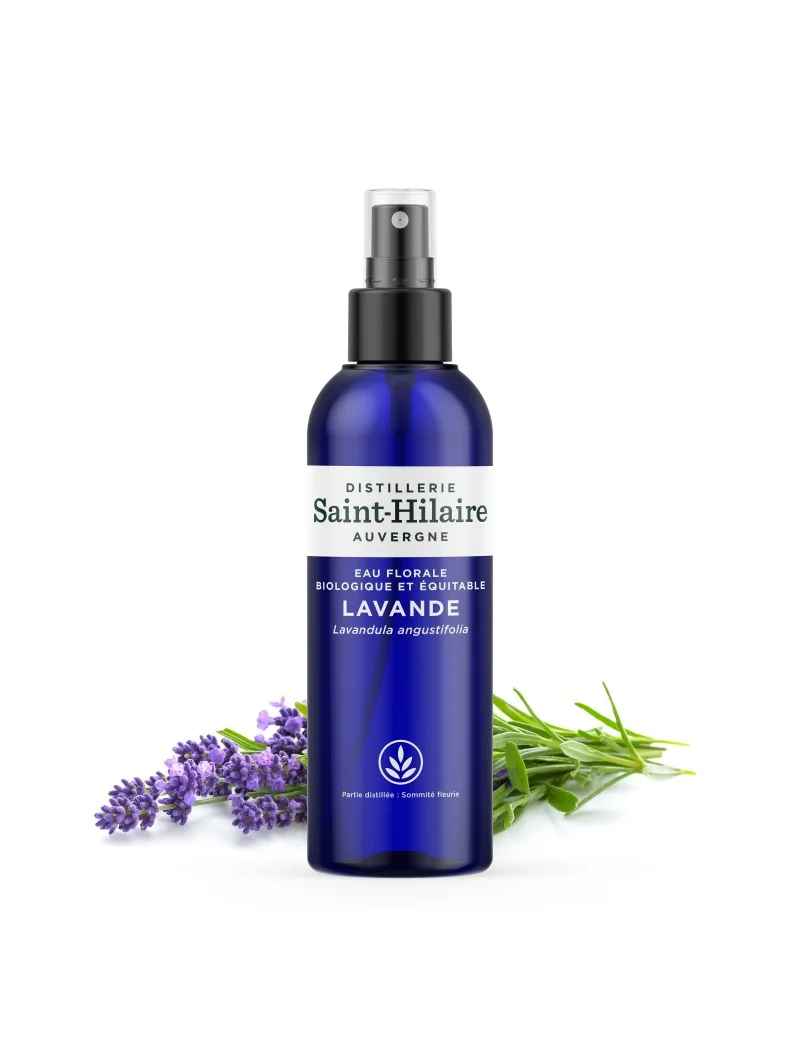 LAVANDE – Image 5
