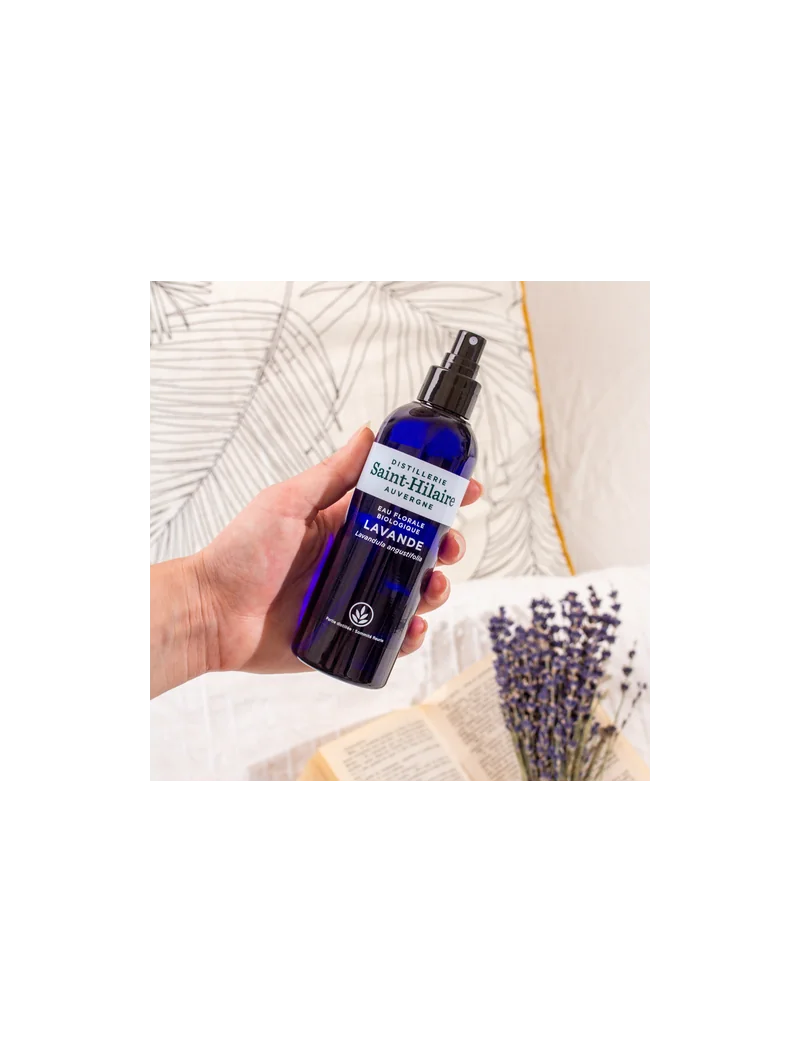 LAVANDE – Image 6
