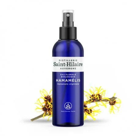 HAMAMÉLIS