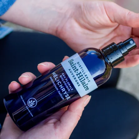 HÉLICRHYSE – Image 3