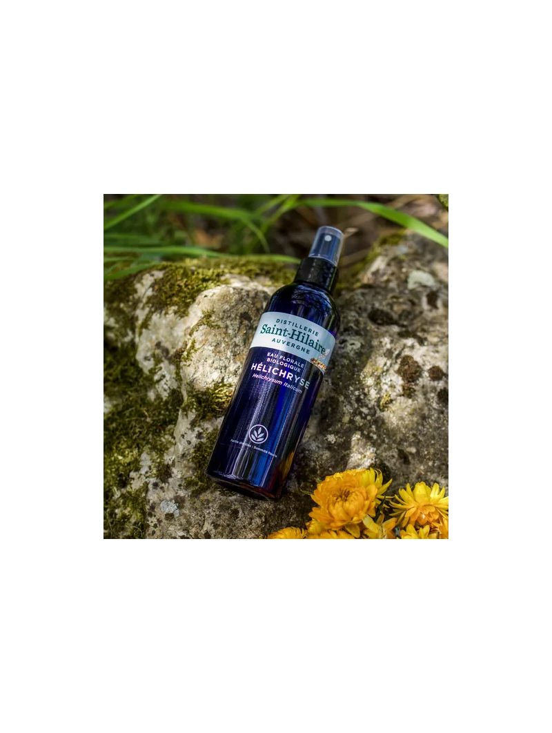 HÉLICRHYSE – Image 5