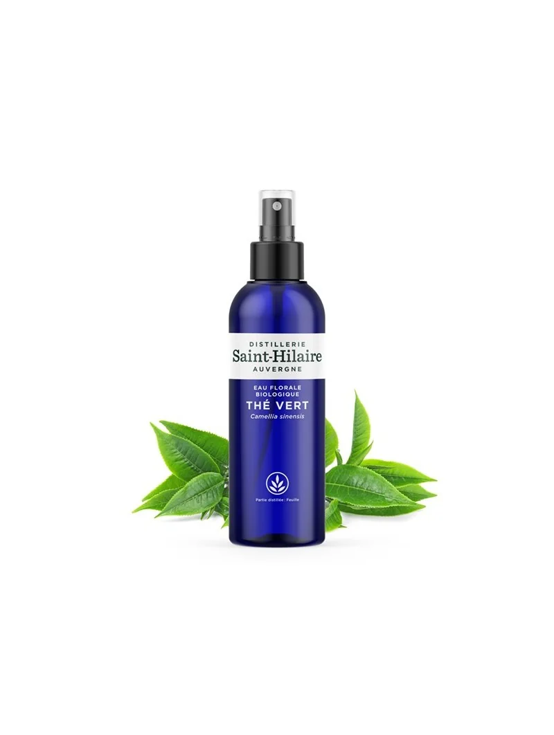 THÉ VERT – Image 2