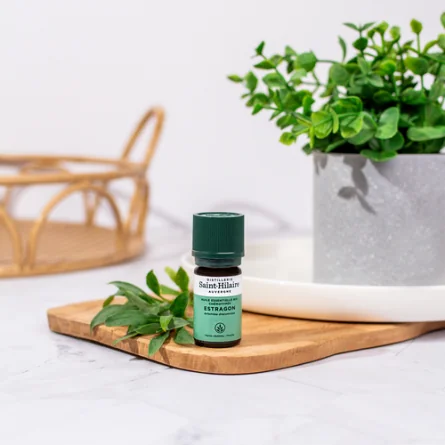 ESTRAGON – Image 2