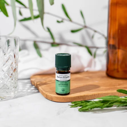 ESTRAGON – Image 3