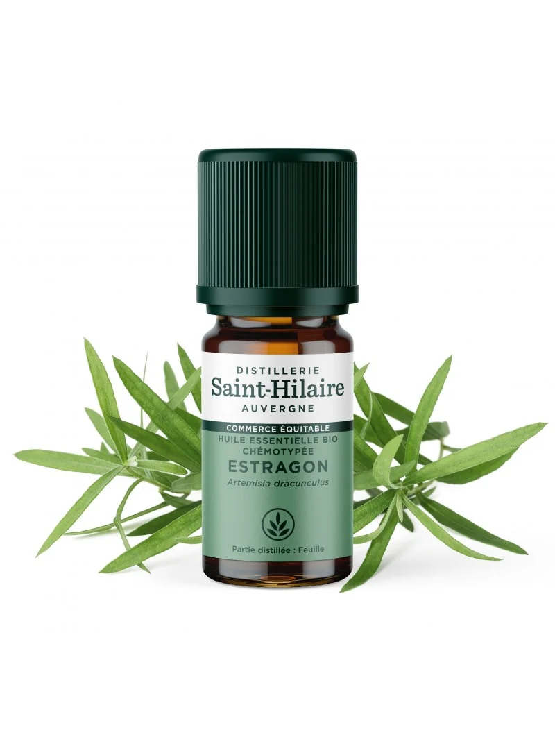 ESTRAGON – Image 4