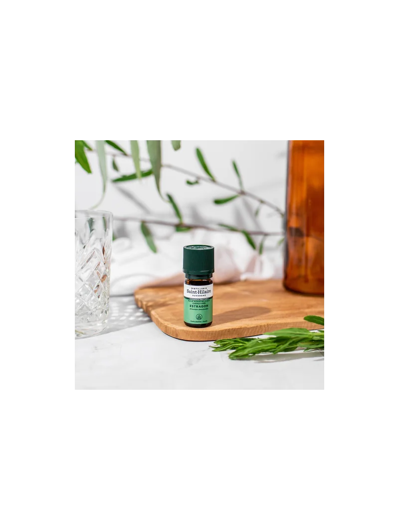 ESTRAGON – Image 6