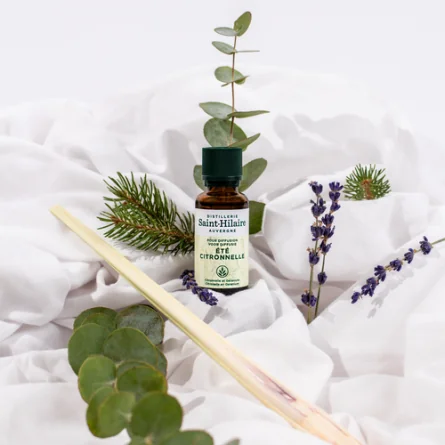 ÉTÉ CITRONNELLE – Image 3