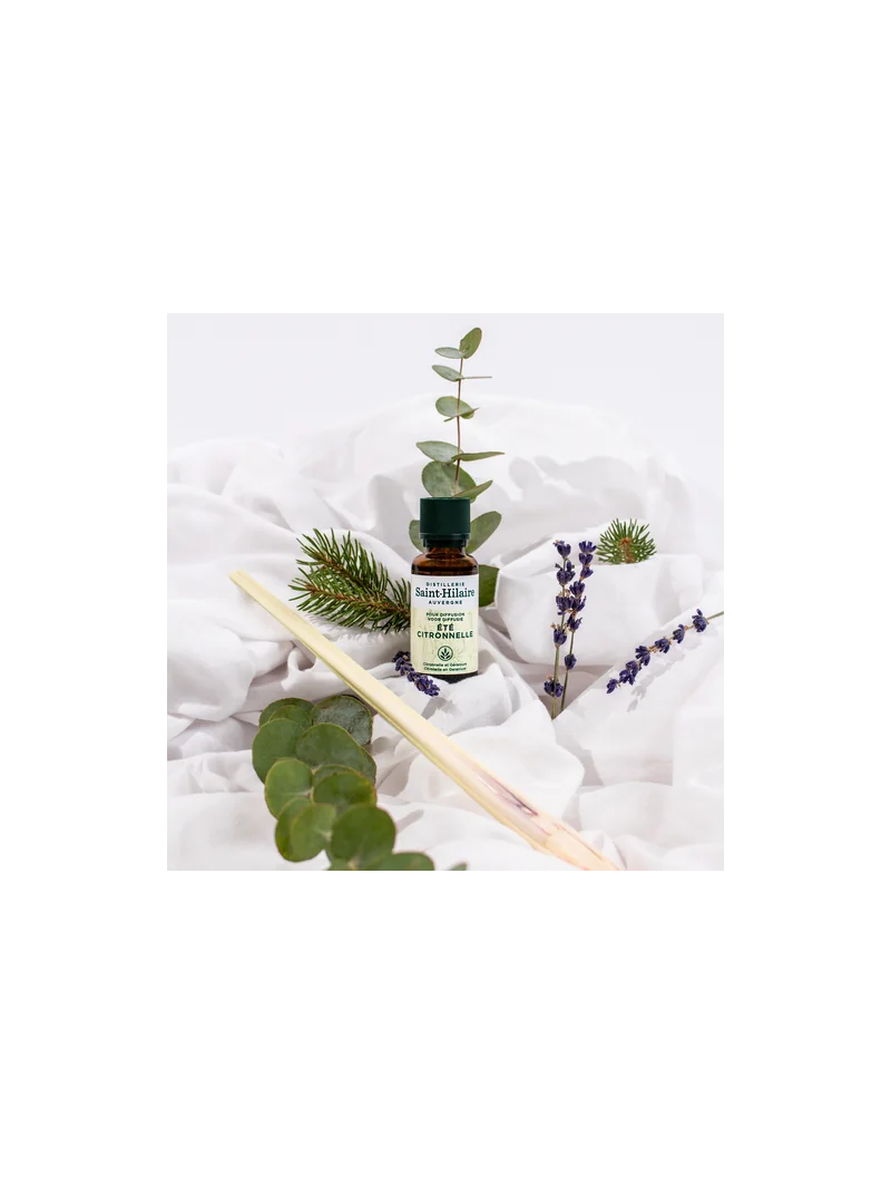 ÉTÉ CITRONNELLE – Image 7