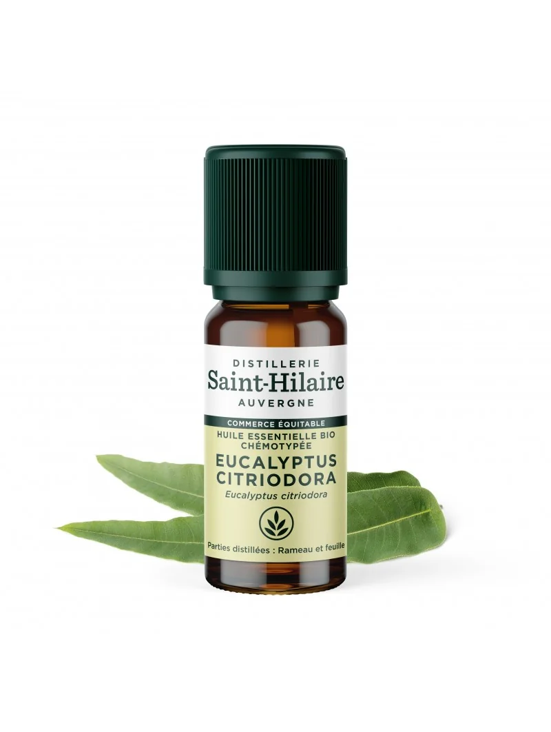 EUCALYPTUS CITRONNÉ – Image 4