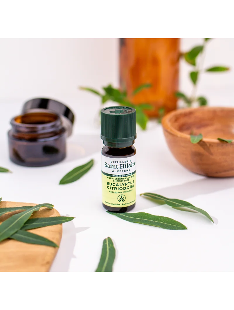 EUCALYPTUS CITRONNÉ – Image 5