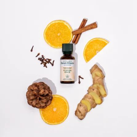 FLOCON ÉPICÉ – Image 3