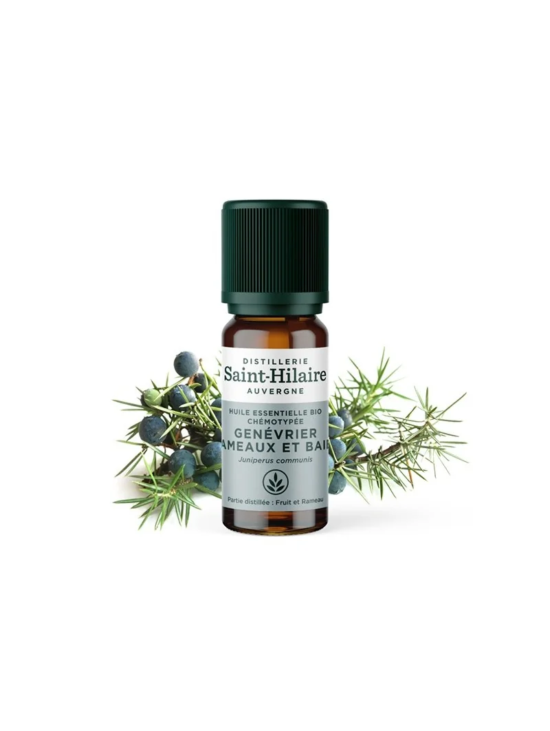 GENÉVRIER BAIES ET RAMEAUX – Image 2