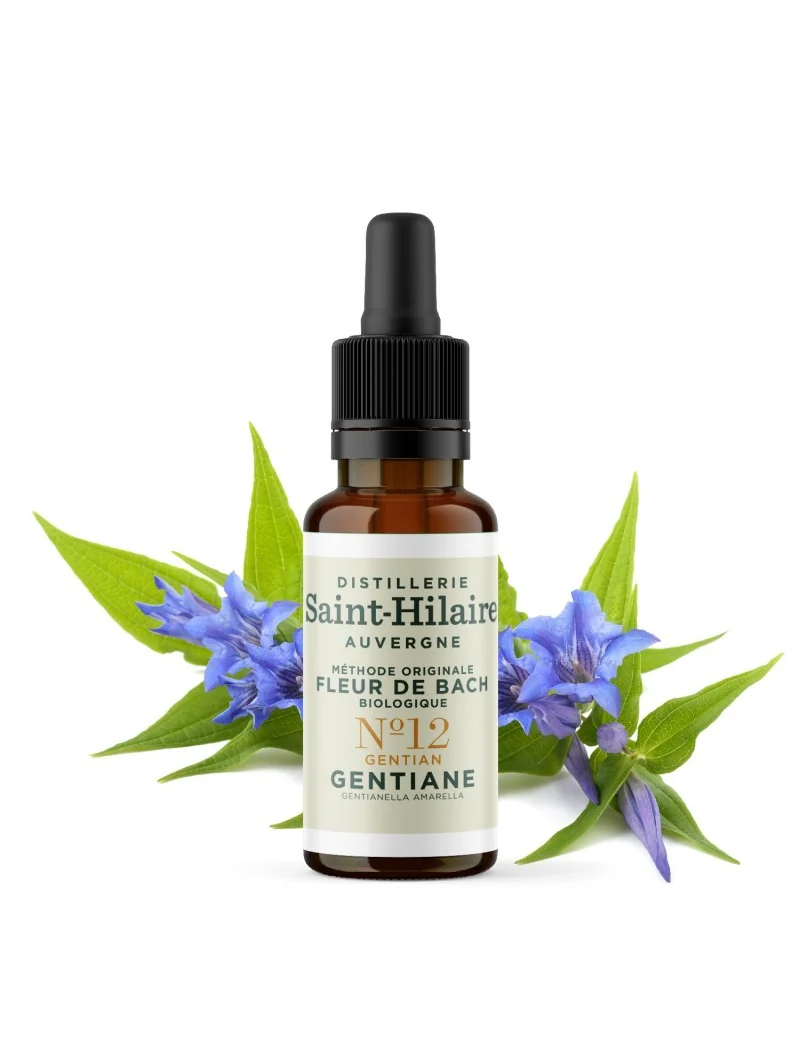 GENTIANE N°12 BIO – Image 3