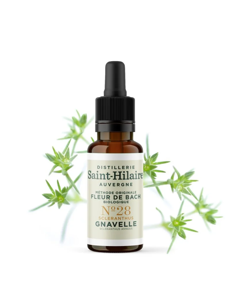 GNAVELLE N°28 BIO – Image 3