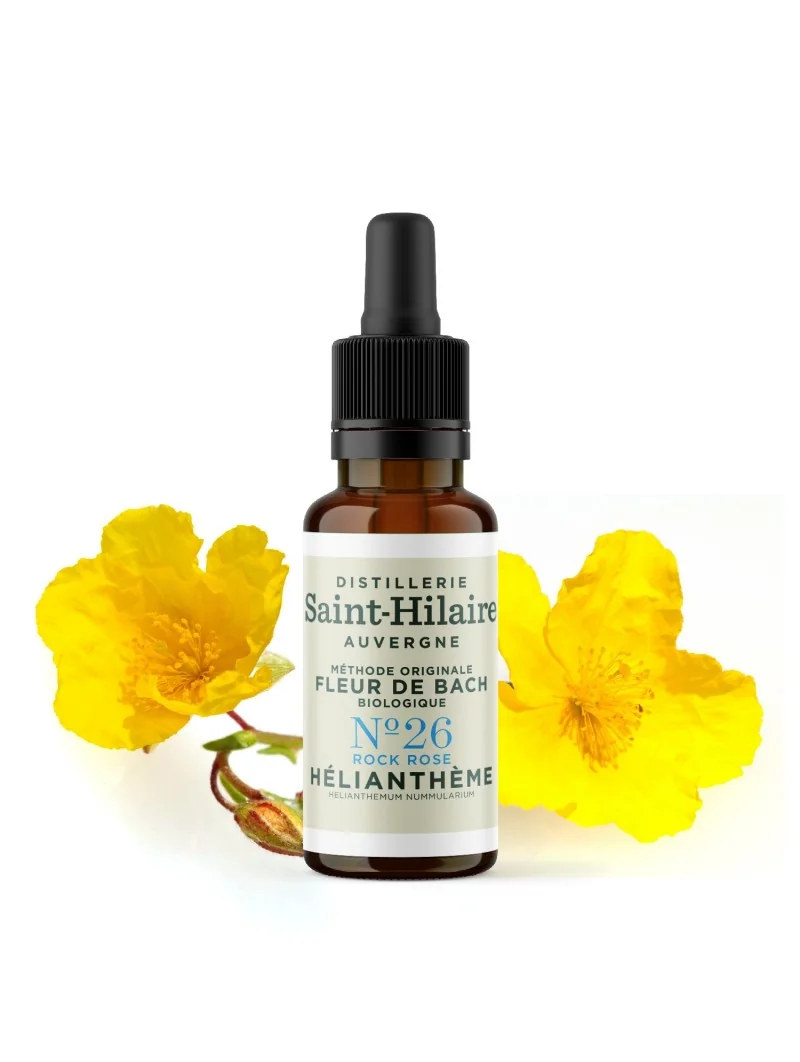 HELIANTHEME N°26 BIO – Image 3