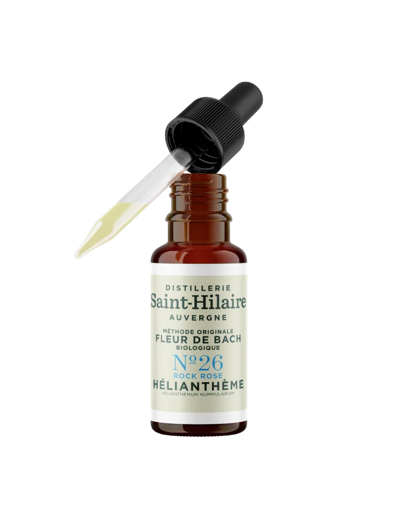 HELIANTHEME N°26 BIO – Image 4