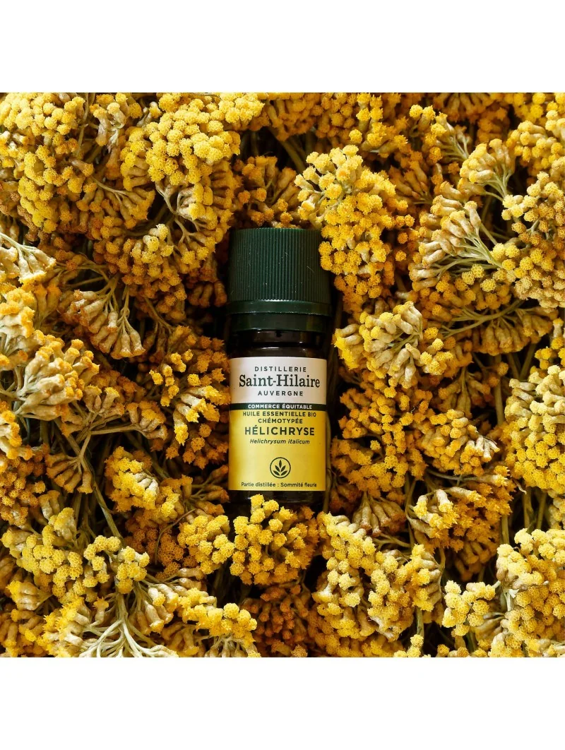 HÉLICHRYSE – Image 5