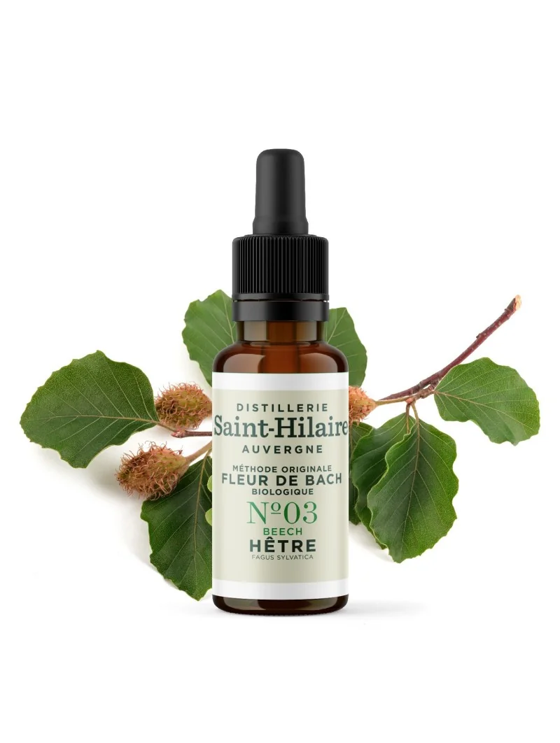 HETRE N°3 BIO – Image 3