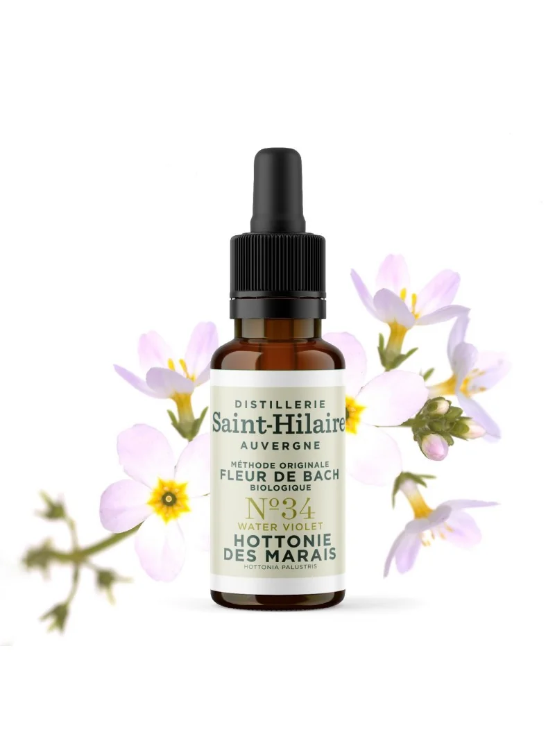 HOTTONIE DES MARAIS N°34 BIO – Image 3