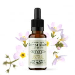 HOTTONIE DES MARAIS N°34 BIO